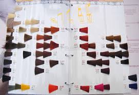Hair Dye Color Chart Hair Swatch China Manufacturer