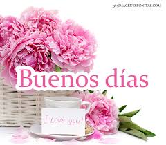 Resultado de imagen de IMAGENES DE BUENOS DIAS domingo 2017