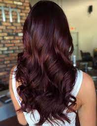 40 Hair Color Ideas That Are Perfectly On Point Mahogany Hair Wine Hair Hair Color Mahogany