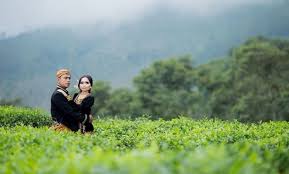 So, menurut saya pribadi, kebun raya bogor ini selain emang. Ide Populer Untuk Foto Prewed Di Kebun Teh Gallery Pre Wedding