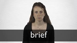 Brief Definition And Meaning Collins English Dictionary An official letter or mandate (see mandate entry 1 sense 1) especially, roman catholicism : brief definition and meaning collins
