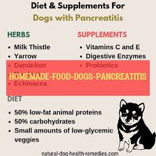 Homemade Food Dogs Pancreatitis Hausgemachtes Essen Hunde Pankreatitis Dog Dogs Puppies Homemadefooddogspan Natural Dog Health Homemade Recipes Dog Health