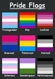 For a pride flag list of all sexuality flags and gender flags included in the lgbtq+ community, which are often showcased at their parades and events, check out the chart below. Here S Just A Few Pride Flags There Are Soooo Many Sexualities And Genders Besides This Demisexual Agender Polysexual And Gender Fluid Jus Lgbt