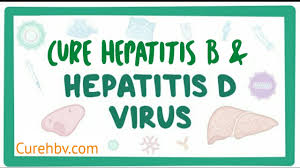 Intramuscular active immunisation against hepatitis b. Cure Hepatitis B Virus Hepatitis B Virus Cure By Hootone Remedies