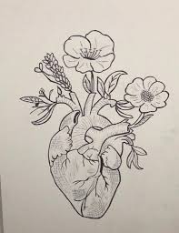 Illustrate the lines and curves for the. Drawing Ideas Easy Heart Drawings Drawings Anatomy Art