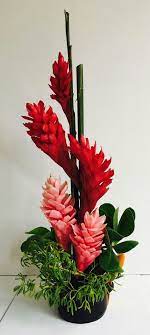 Red Ginger Arrangement Belize Flowers Dulcebelizeweddings Gmail Com Flowersinbelize Ginger Flower Flower Arrangements Fresh Flowers Arrangements