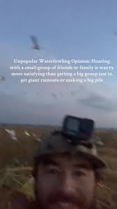 Captivating Moments with Snow Geese in Nature