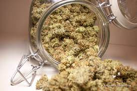 How To Dry And Cure Your Cannabis To The Highest Quality