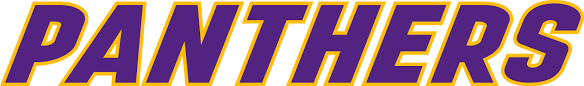 Northern Iowa Panthers Wordmark Logo Northern Iowa Word Mark Logo Iowa