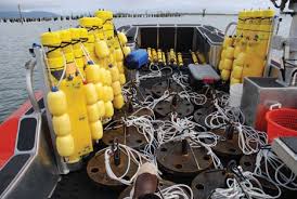 American Fisheries Society • www.fisheries.org the Juvenile salmon Acoustic  telemetry system: A New Tool Operating Hatcheries