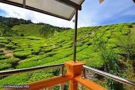 34, mile cameron highlands, tanah rata, 39000 cameron highlands, pahang. Cameron Valley Tea House