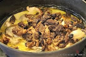 Recette Poulet A La Creme Et Aux Morilles La Cuisine Familiale Un Plat Une Recette Recette En 2020 Recette Poulet Recettes De Cuisine Poulet A La Creme