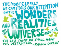 10 Earth Day Quotes to Post on Facebook, Twitter | InvestorPlace via Relatably.com