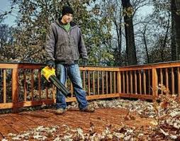 Maybe you would like to learn more about one of these? Blowing Leaves Off Deck With Dewalt Leaf Blower Wonkee Donkee Tools