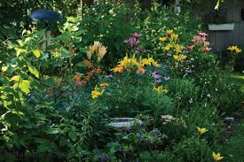 Send flowers to springfield usa. Lilies For The Garden Longfellow S Garden Center