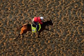 What to know about the 2021 kentucky derby Nxnk7xjhkude9m