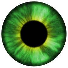 Textura Olho Verde Green Eye Texture By Axelmuller Eye Texture Photoshop Backgrounds Free Halloween Eyes