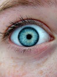 Peki Bunlar Renkli Gozse Bizimki Ne Oluyor Diye Sordurtan 35 Renkli Goz Augen Iris Peki Bunlar Renkli Beautiful Eyes Pics Beautiful Eyes Light Blue Eyes