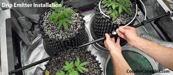 Diy Automatic Watering System For Indoor Cannabis Coco For Cannabis