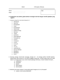 Dan mungkin saja bakalan dijadikan mohon maaf, belum ada kunci jawaban. Soal Umum Biologi Uas Kls X Jawabanku Id