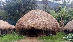 Tiap daerah memiliki ciri khas yang berbeda, salah satunya ialah papua. Mengenal Rumah Adat Papua Beserta Penjelasannya Lebih Dalam Kumparan Com