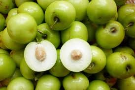 Ini karena buah ini dapat. Senarai Khasiat Buah Bidara Untuk Manusia No 10 11 Benar Benar Mengejutkan