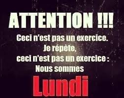 Epingle Par Faraldinia Sur 1 En 2020 Humour Phrase Drole Drole