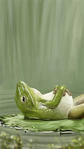 High quality laptop stickers by independent artists and designers from around the world. Hd Frog Wallpaper Enwallpaper