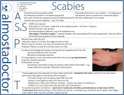 Image result for scabies transmission
