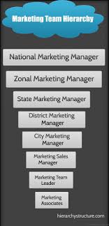Marketing Team Hierarchy Hierarchy Career Pathways Marketing