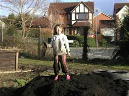 The good news is that beautifying your garden does not have to be difficult or expensive. Allotment Garden Vegetable Fruit Herb Gardening On An Allotment General Gardening Help And Advice