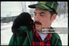 154 Black Bear Maine Stock Photos, High-Res Pictures, and Images