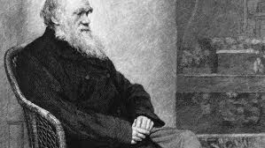 Darwin is the capital city of the northern territory, australia. 7 Surprising Facts About Charles Darwin