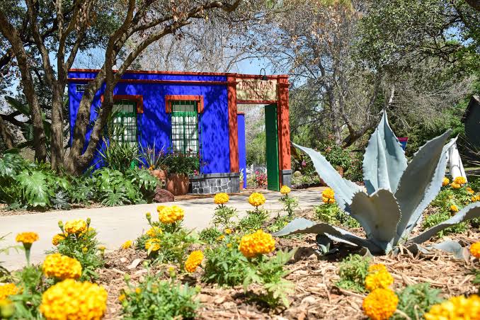 Experience Frida Kahlo's Casa Azul Without Leaving Texas