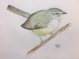 ウグイスは、スズメと同じくらいの大きさで、暗い緑茶色をした鳥 です。生物分類学上では、スズメ目ウグイス科に属します。 英語では bush warbler と言います。茂みにいるムシクイという意味です。 ã‚¦ã‚°ã‚¤ã‚¹ åå‰ã¨é³´ãå£°ã¯ãƒ¡ã‚¸ãƒ£ãƒ¼ç´š ã§ã‚‚å®Ÿã¯ ãƒãƒ¼ãƒ‰ã‚¦ã‚©ãƒƒãƒwing