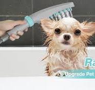Amazon.com: Rainovo Cabezal de ducha para mascotas, 4 modos ...