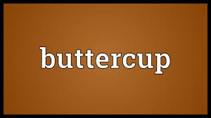 Buttercup Meaning Youtube