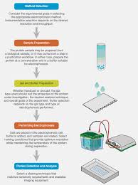 introduction to protein electrophoresis lsr bio rad