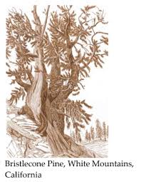 Margaret Eldred Exhibition