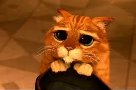 images?q=tbn:ANd9GcRRX4Gww1W9HFgkccMgtpNYw7G4Bg_XjTZpKKPmONQvdM0bfneP