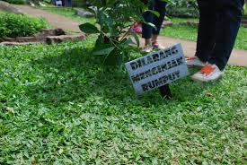 Di amerika, ruangan keluarga disebut dengan family room, sementara di inggris (uk), lebih akrab disebut dengan sitting room. 30 Ide Keren Gambar Jangan Menginjak Rumput Victoria Melani Blog