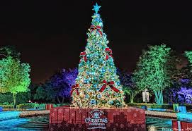 Christmas Tree At Sea World San Antonio In San Antonio Texas Unique Family Vacations Florida Family Vacation Florida Christmas