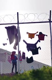 Messner, who is an interior designer and photographer, filed for the dissolution of. Https Childrendeprivedofliberty Info Wp Content Uploads 2020 01 Full Global Study Nov 2019 Pdf