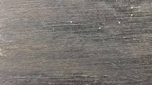 9 Fantastic Tiny Bugs On Wood Deck Photos Wood Deck Wooden Decks Wooden Furniture