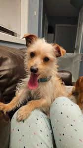 Who put the hashtag tag