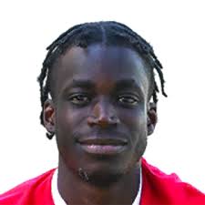 Arthur Bertrand Gnahoua