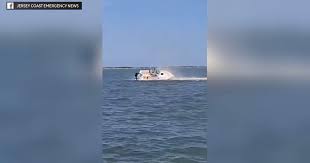 Whale Dies After Boat Collision in New Jersey