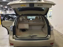 Image result for Golden Almond 2010 RX