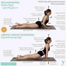 Prone Pelvic Positioning Part 1 The Sphinx Post Competitive Insight