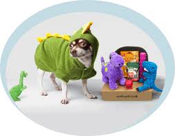 Maybe you would like to learn more about one of these? Best Dog Subscription Boxes Europe Uk Monthly Pet Subscription Gift Boxes With Reviews Alpha Pets Uk